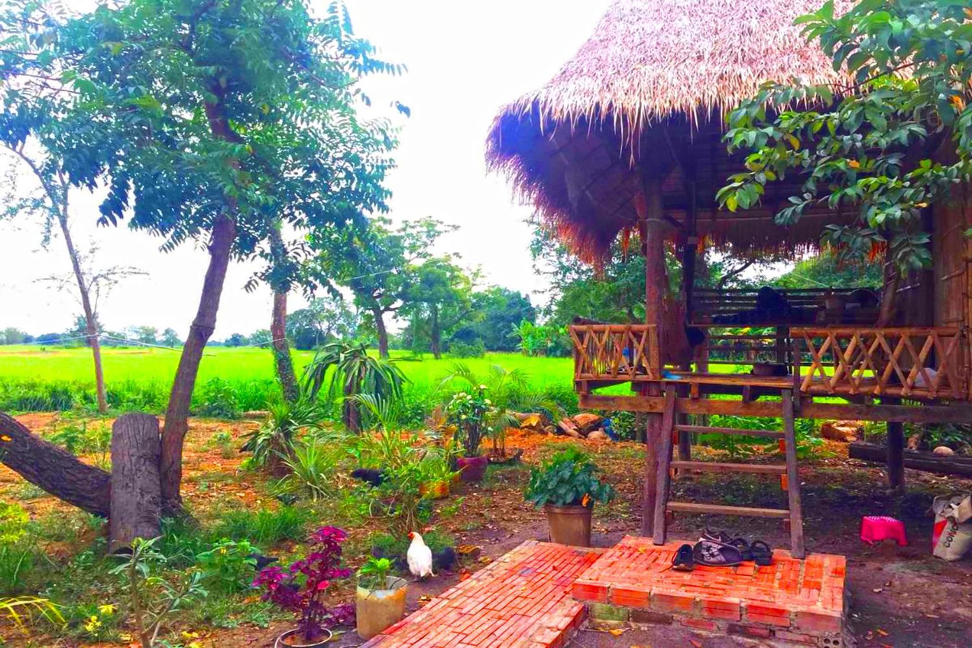 Family Batcave Homestay Battambang Extérieur photo