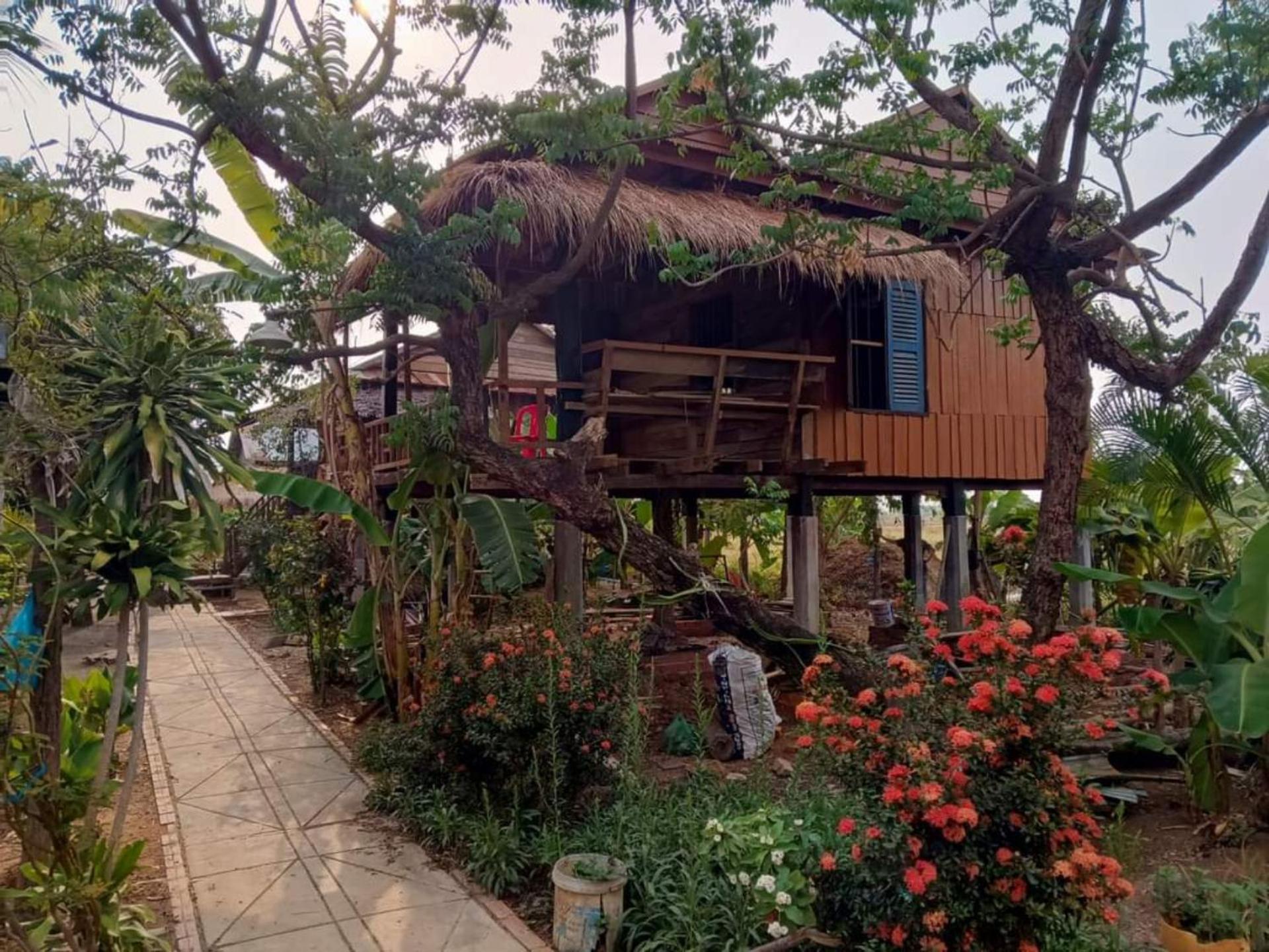 Family Batcave Homestay Battambang Extérieur photo